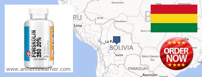 Kde koupit Forskolin on-line Bolivia