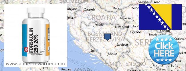 Var kan man köpa Forskolin nätet Bosnia And Herzegovina
