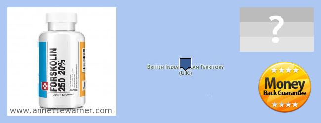 Var kan man köpa Forskolin nätet British Indian Ocean Territory