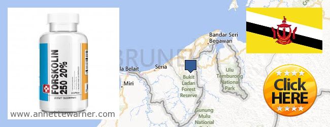 Dove acquistare Forskolin in linea Brunei