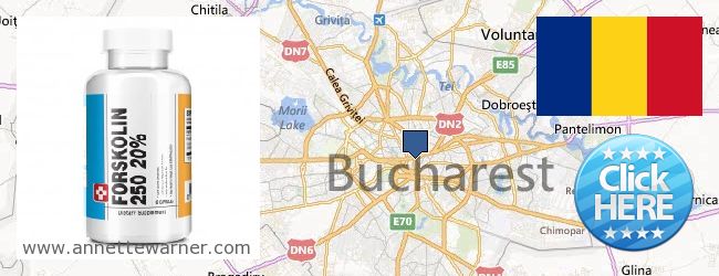 Buy Forskolin Extract online Bucharest, Romania