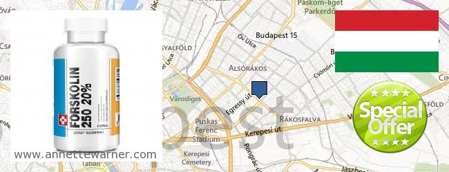 Buy Forskolin Extract online Budapest, Hungary