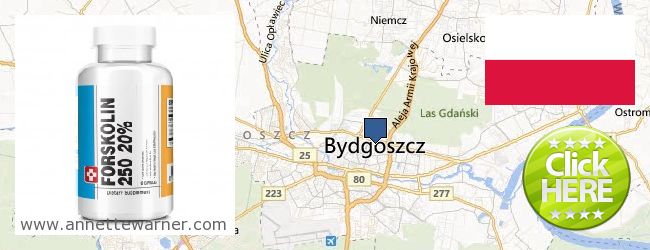 Where to Buy Forskolin Extract online Bydgoszcz, Poland