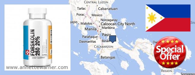 Buy Forskolin Extract online CALABARZON, Philippines