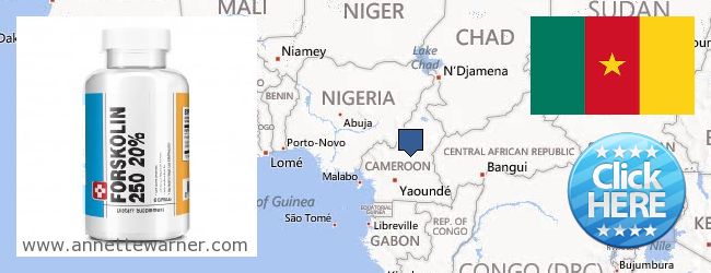 Hvor kan jeg købe Forskolin online Cameroon