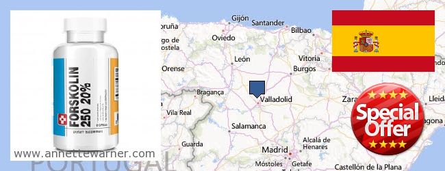 Where Can I Buy Forskolin Extract online Castilla y León, Spain