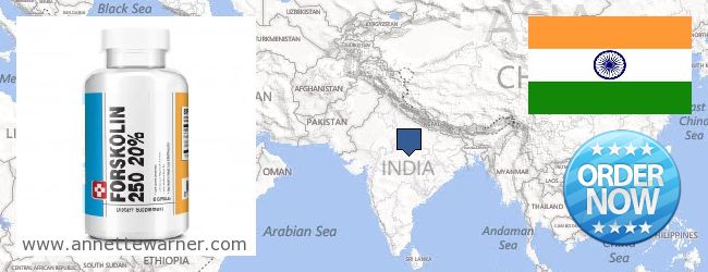 Where to Buy Forskolin Extract online Chhattīsgarh CHH, India