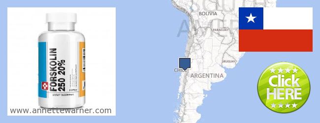 Πού να αγοράσετε Forskolin σε απευθείας σύνδεση Chile