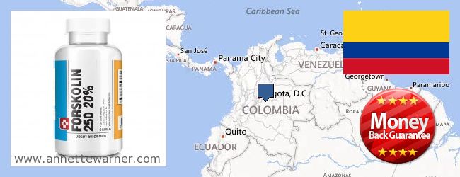 Hvor kan jeg købe Forskolin online Colombia