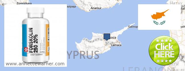 Где купить Forskolin онлайн Cyprus