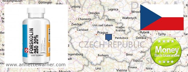 Kde kúpiť Forskolin on-line Czech Republic