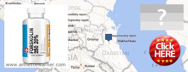Buy Forskolin Extract online Dagestan Republic, Russia