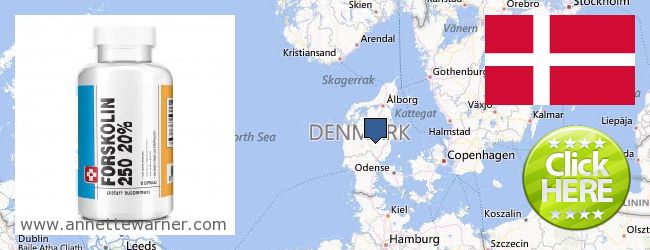 Hol lehet megvásárolni Forskolin online Denmark