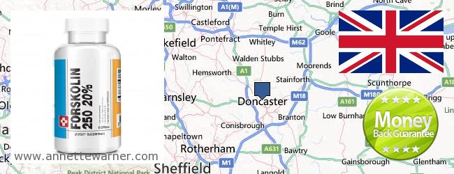 Purchase Forskolin Extract online Doncaster, United Kingdom