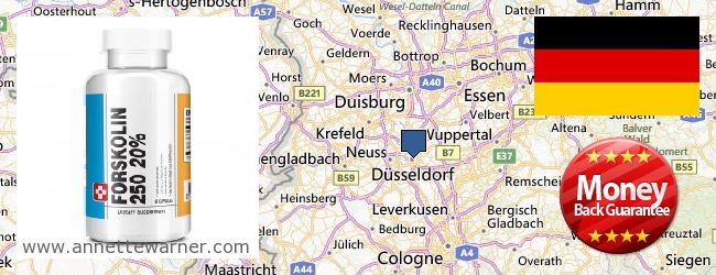 Where to Buy Forskolin Extract online Düsseldorf, Germany