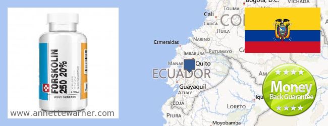 Wo kaufen Forskolin online Ecuador