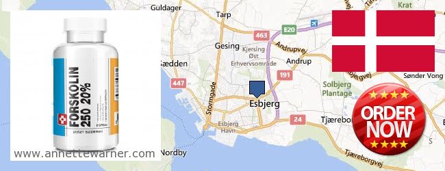 Where to Purchase Forskolin Extract online Esbjerg, Denmark