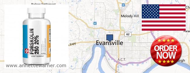 Buy Forskolin Extract online Evansville IN, United States