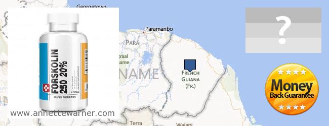 Jälleenmyyjät Forskolin verkossa French Guiana