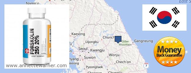 Best Place to Buy Forskolin Extract online Gangwon-do (Kangwŏn-do) 강원, South Korea