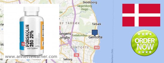 Where Can I Purchase Forskolin Extract online Gentofte, Denmark
