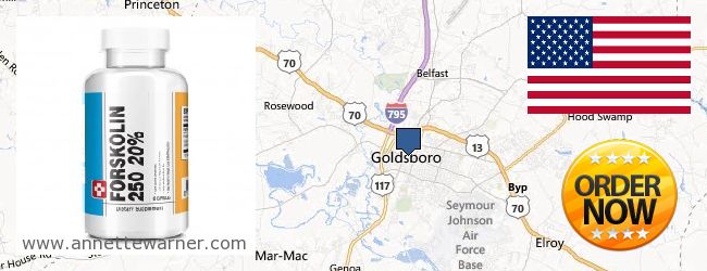 Purchase Forskolin Extract online Goldsboro NC, United States
