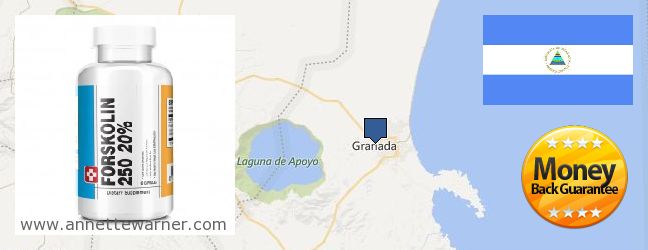 Where to Buy Forskolin Extract online Granada, Nicaragua