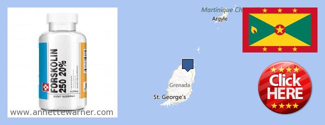 Hvor kan jeg købe Forskolin online Grenada