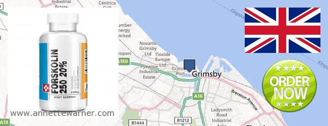Buy Forskolin Extract online Grimsby, United Kingdom