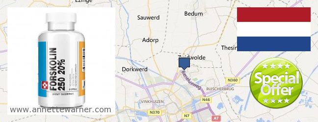 Best Place to Buy Forskolin Extract online Groningen, Netherlands