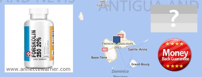 Hvor kan jeg købe Forskolin online Guadeloupe