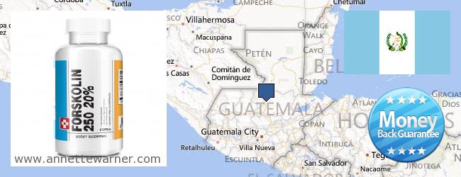 Hvor kjøpe Forskolin online Guatemala