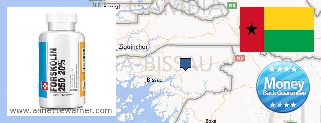 Var kan man köpa Forskolin nätet Guinea Bissau
