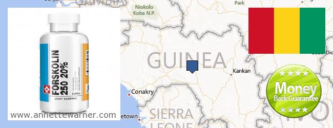 Jälleenmyyjät Forskolin verkossa Guinea
