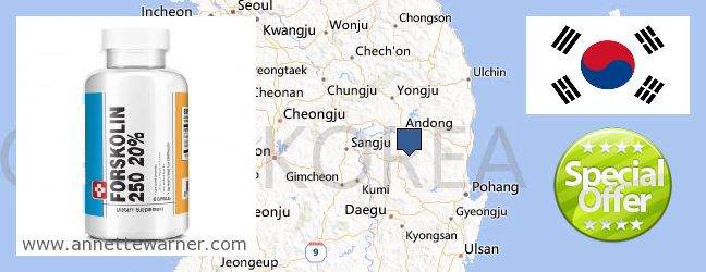 Where to Purchase Forskolin Extract online Gyeongsangbuk-do (Kyŏngsangpuk-do) [North Gyeongsang] 경상북, South Korea