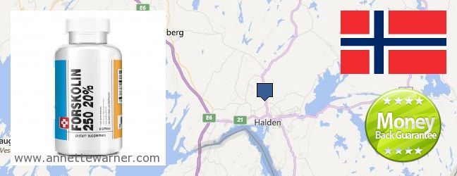 Where to Buy Forskolin Extract online Halden, Norway