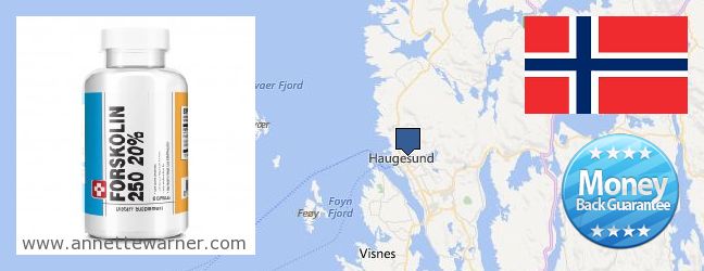 Purchase Forskolin Extract online Haugesund, Norway