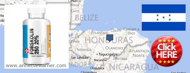 Kde koupit Forskolin on-line Honduras