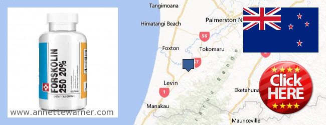 Where to Buy Forskolin Extract online Horowhenua, New Zealand
