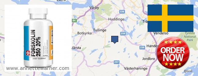 Where to Purchase Forskolin Extract online Huddinge, Sweden