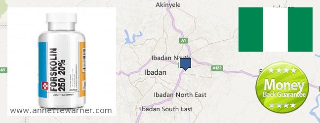Where to Buy Forskolin Extract online Ibadan, Nigeria