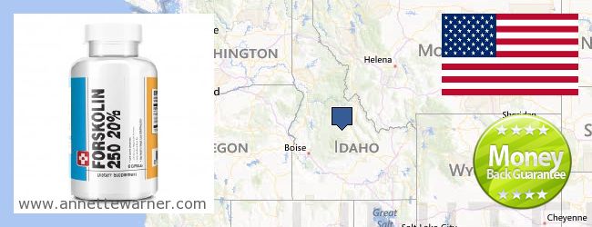 Purchase Forskolin Extract online Idaho ID, United States