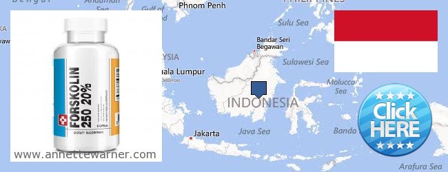 Πού να αγοράσετε Forskolin σε απευθείας σύνδεση Indonesia