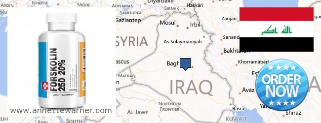 Hvor kan jeg købe Forskolin online Iraq