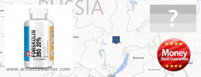 Where to Purchase Forskolin Extract online Irkutskaya oblast, Russia