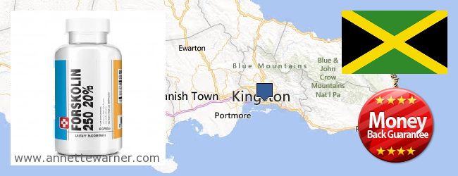 Purchase Forskolin Extract online Kingston, Jamaica