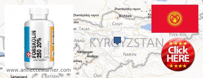 Πού να αγοράσετε Forskolin σε απευθείας σύνδεση Kyrgyzstan