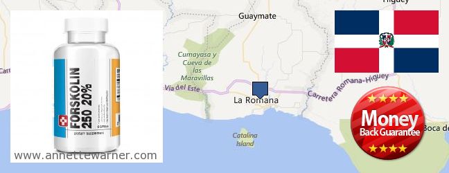 Where to Purchase Forskolin Extract online La Romana, Dominican Republic
