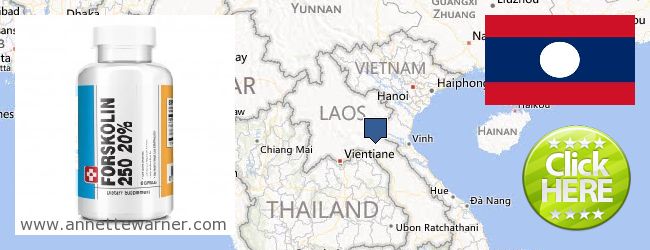 Где купить Forskolin онлайн Laos