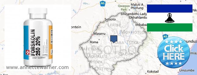 Jälleenmyyjät Forskolin verkossa Lesotho